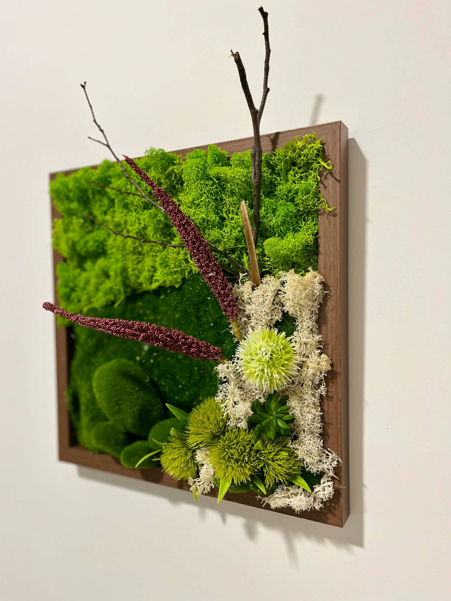 Příroda bez údržby