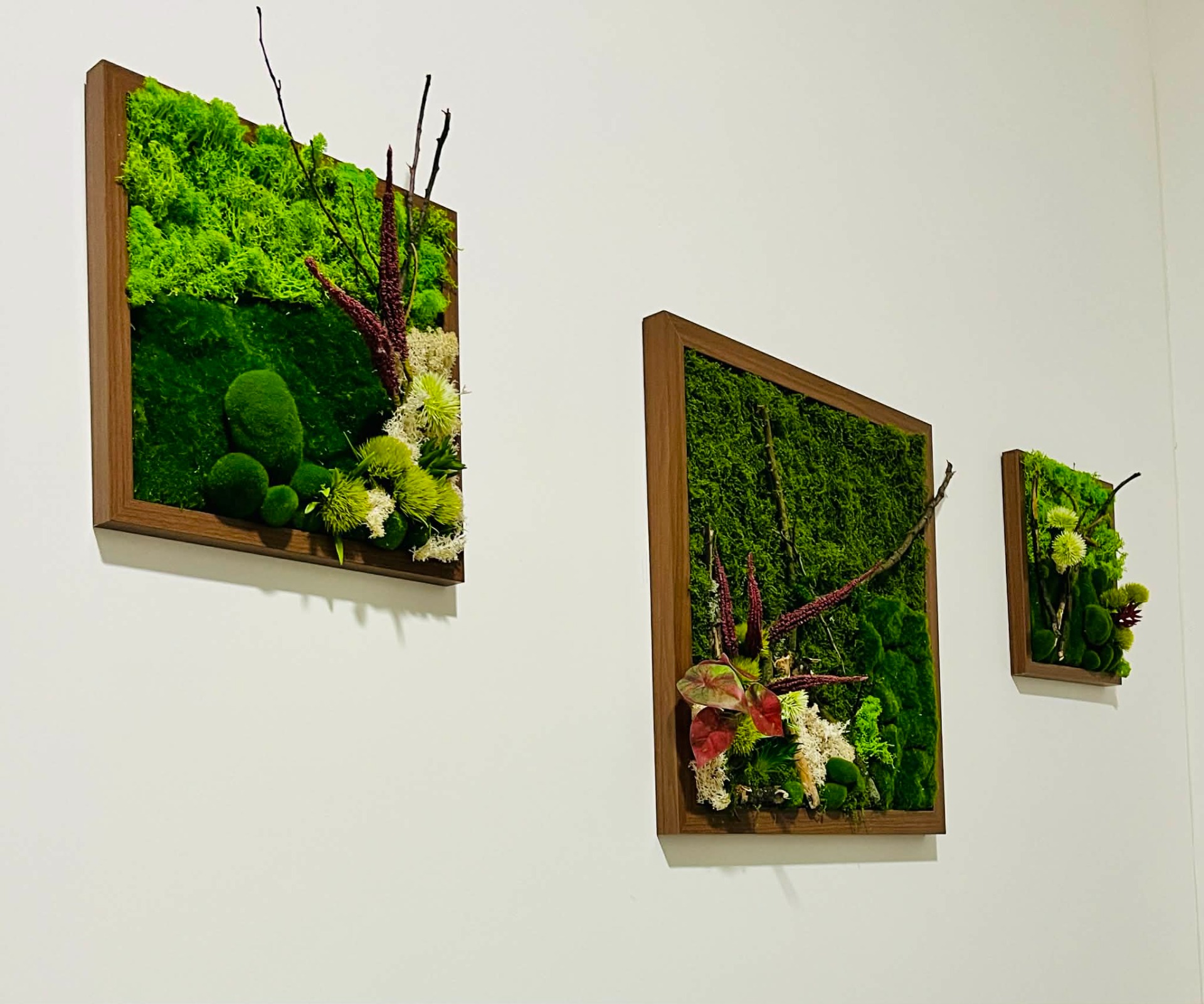 Zelený dotek, krása bez starostí 