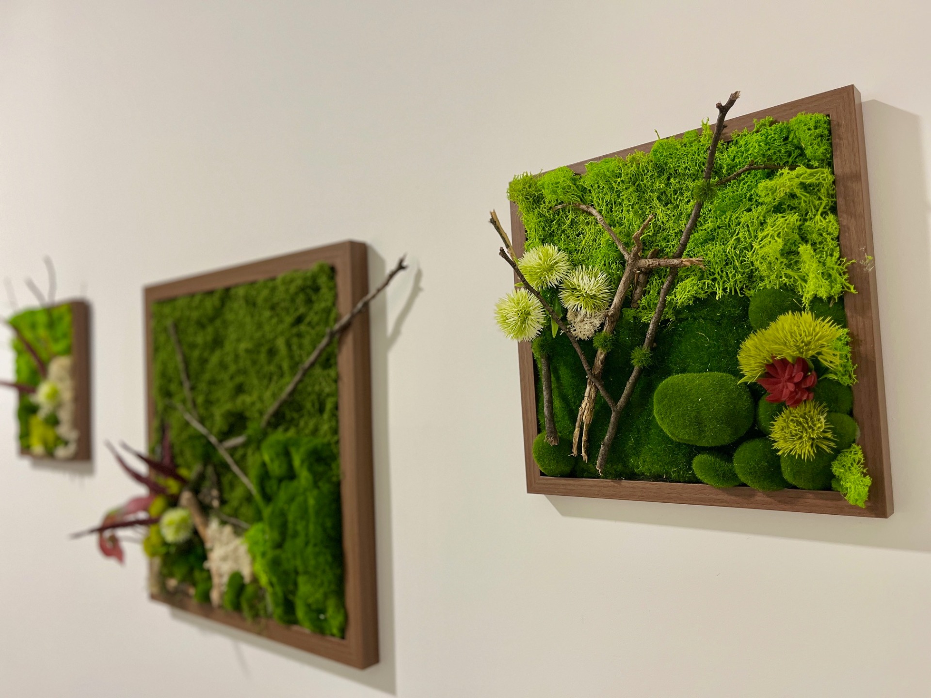 Přinášíme harmonii, která roste.